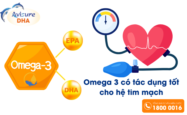 Omega 3 hỗ trợ ổn định sức khỏe tim mạch