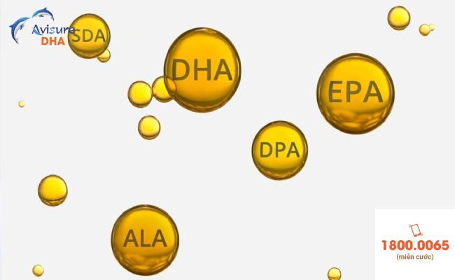 DHA, EPA và ALA là những chất nằm trong nhóm omega-3 thiết yếu đối với cơ thể