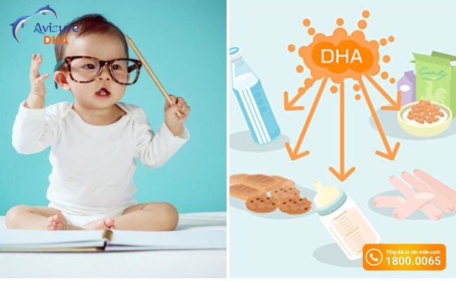 DHA có vai trò thúc đẩy sự phát triển của não bộ 