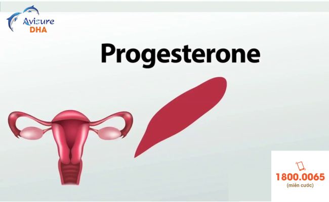 Omega3 giúp gia tăng hormone progesterone