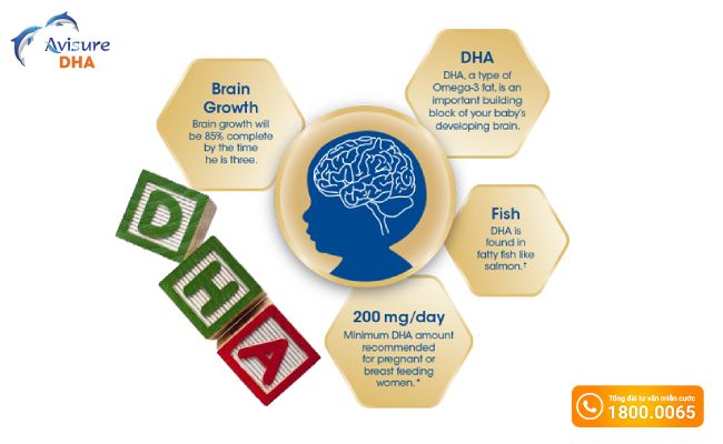 DHA đóng vai trò quan trọng trong sự phát triển trí não của trẻ