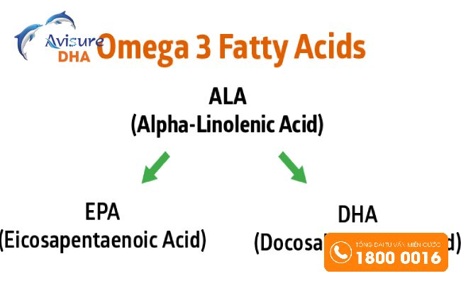 DHA và EPA đều thuộc nhóm Omega 3