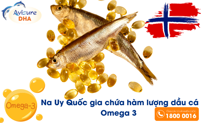 Na Uy quốc gia chứa hàm lượng dầu cá Omega 3