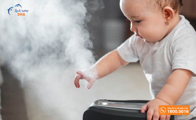 Sử dụng máy phun sương để duy trì độ ẩm trong nhà