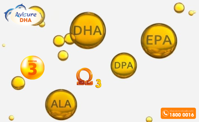 DHA, OMEGA 3 có thành phần như thế nào?
