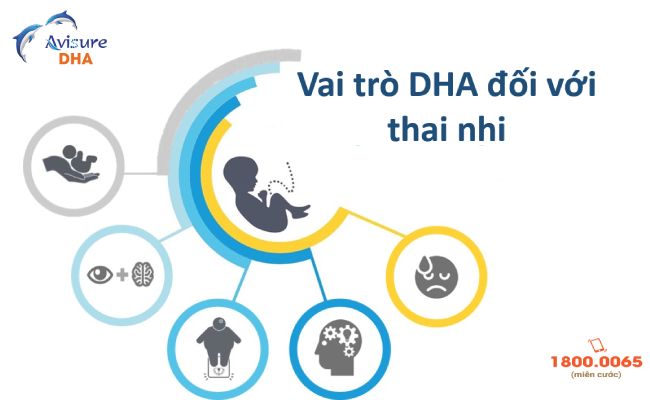Vai trò DHA đối với thai nhi