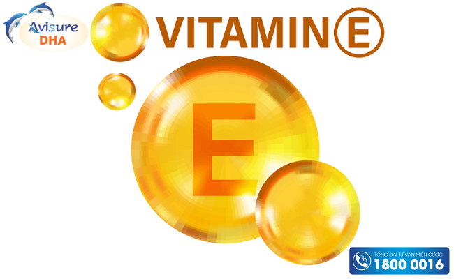Vitamin E và những điều cần biết